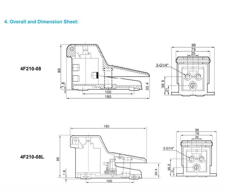 4F Series Foot Valve