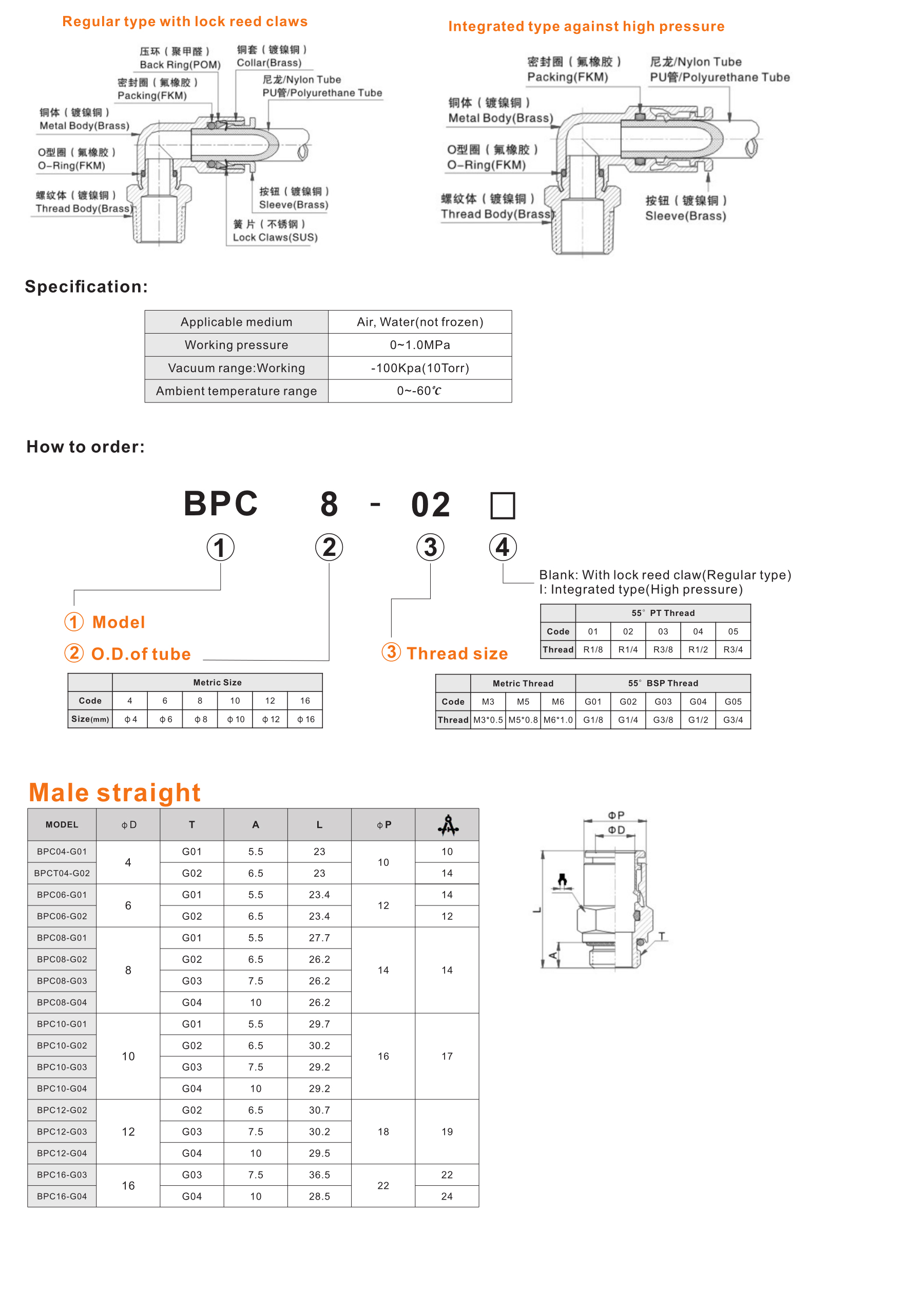 BPC-G Male straight