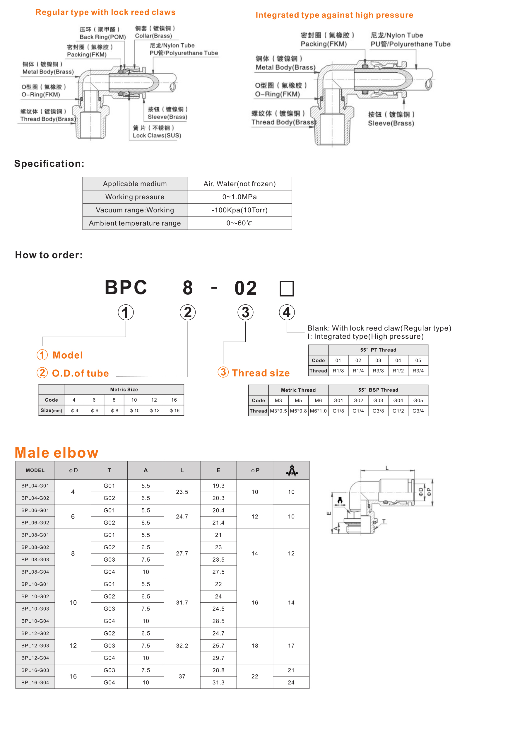 BPL-G Male elbow