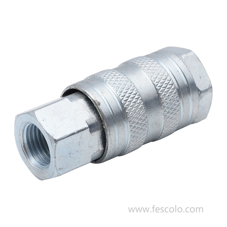 IS Series Israel Type Pneumatic Quick Coupling