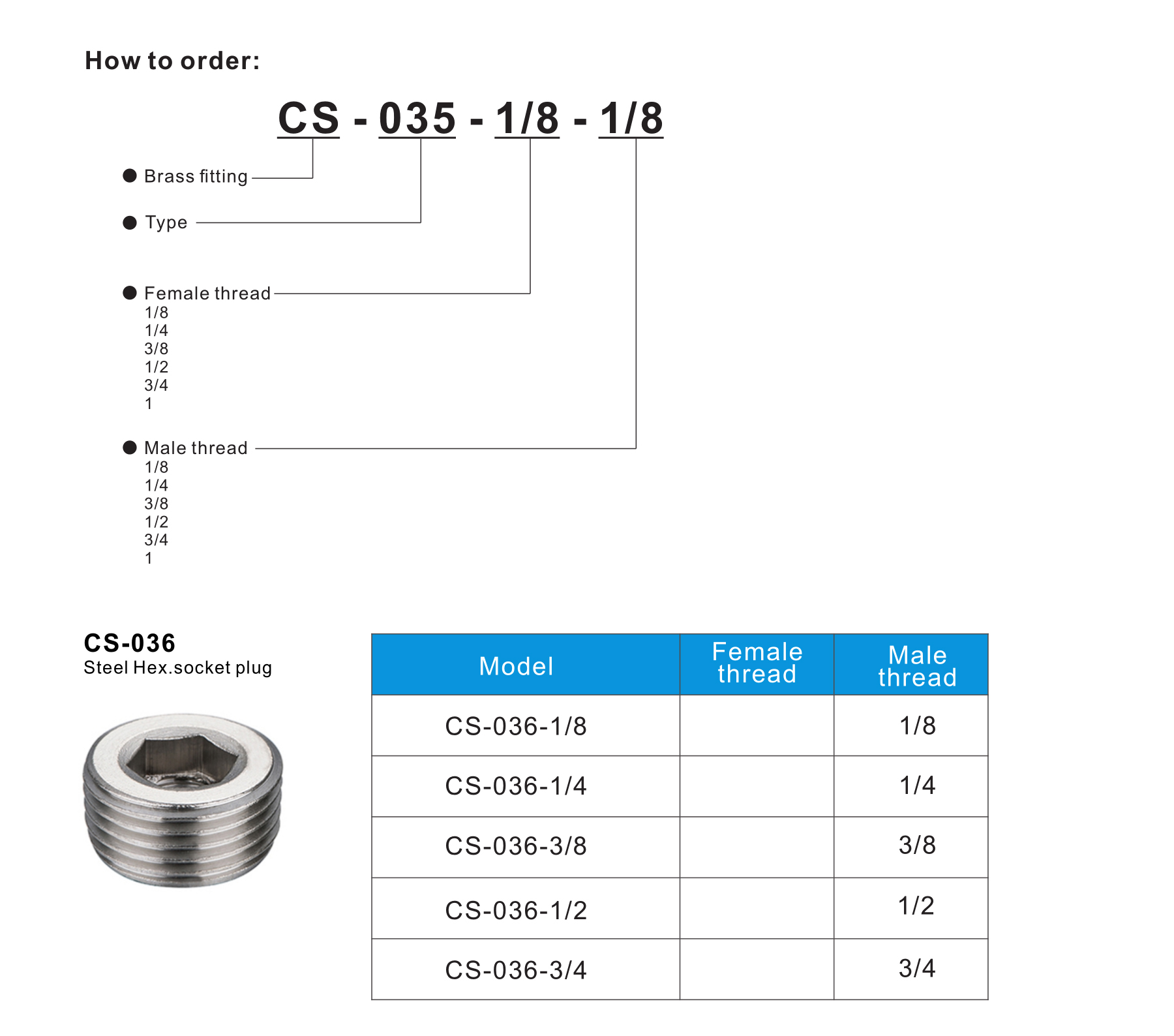 CS-036 Steel Hex.socket plug