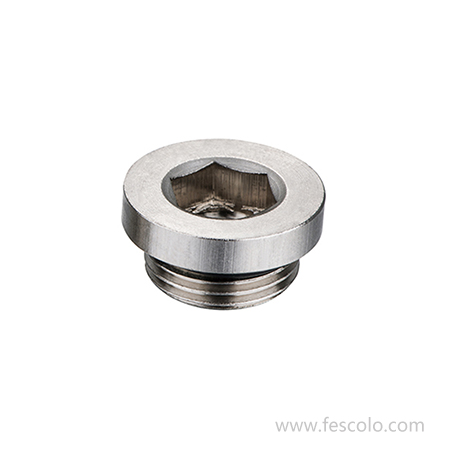 CS-037 Steel Hex.socket plug