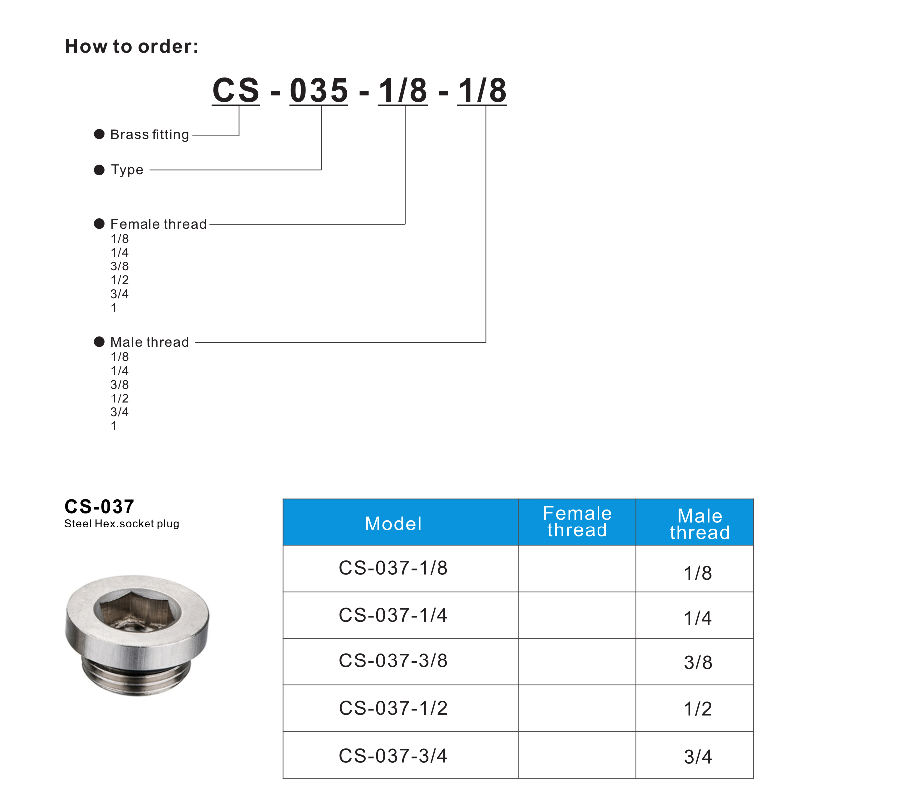 CS-037 Steel Hex.socket plug