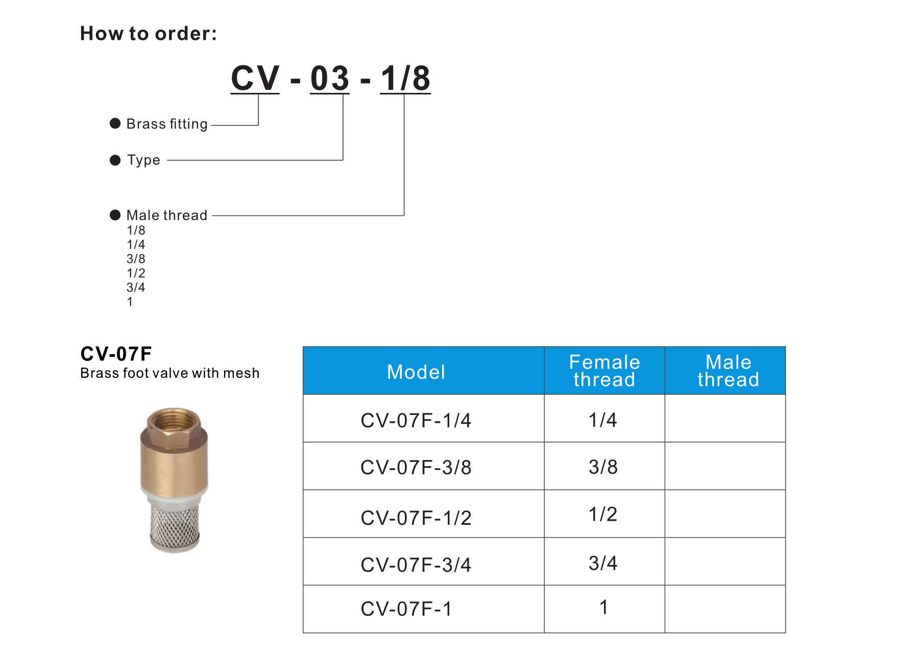 CV-07F Brass foot valve with mesh
