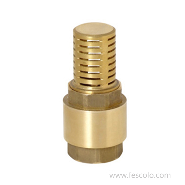 CV-07FB Brass foot valve with mesh