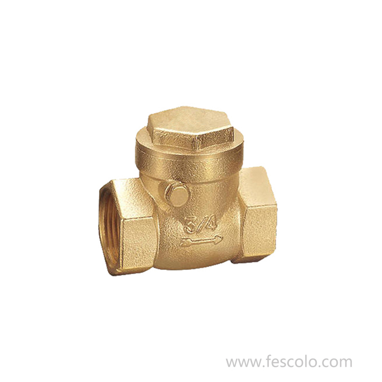 CV-08 Brass check valve