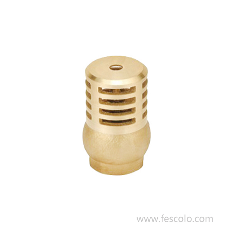 CV-09 Brass foot valve