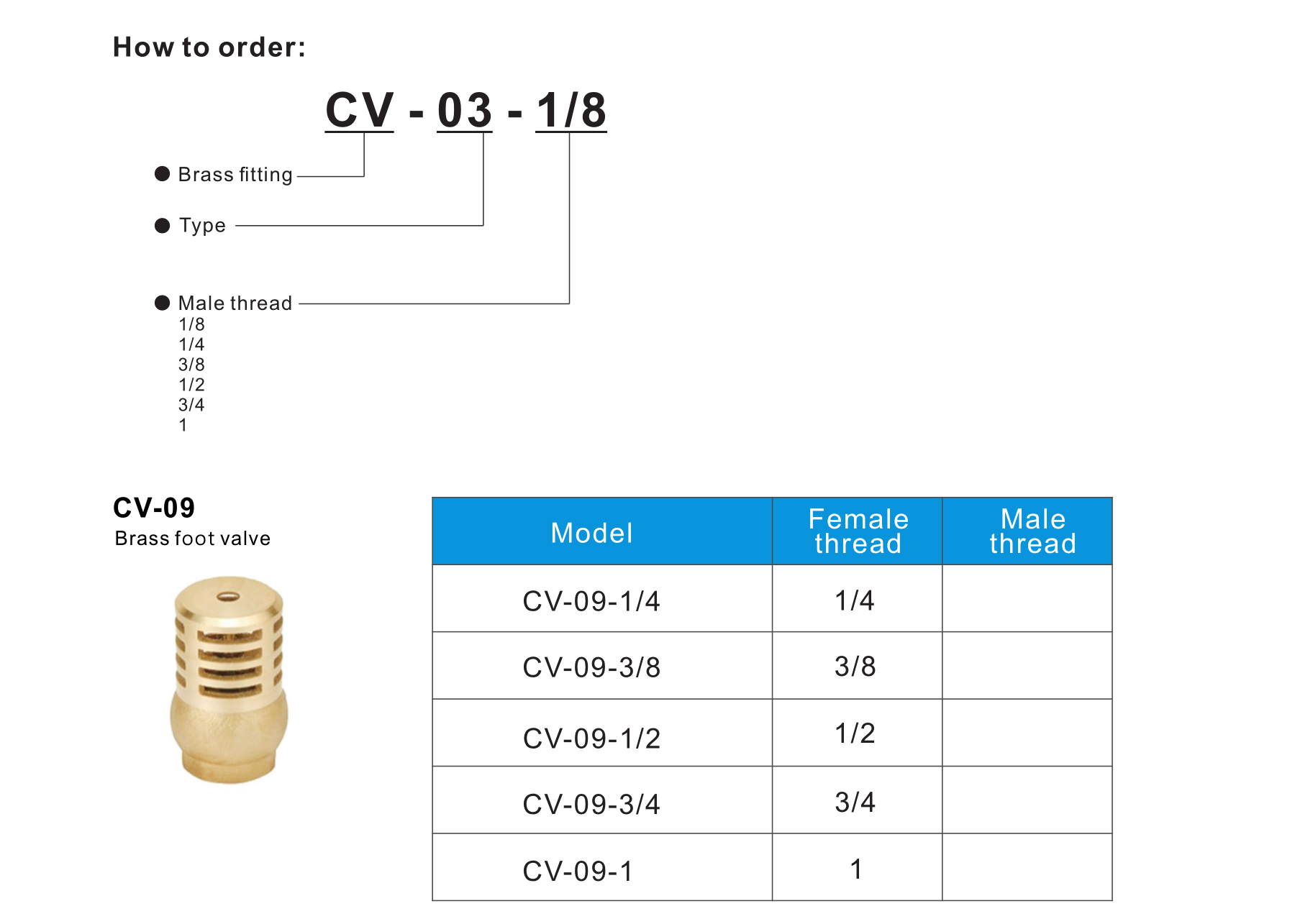 CV-09 Brass foot valve
