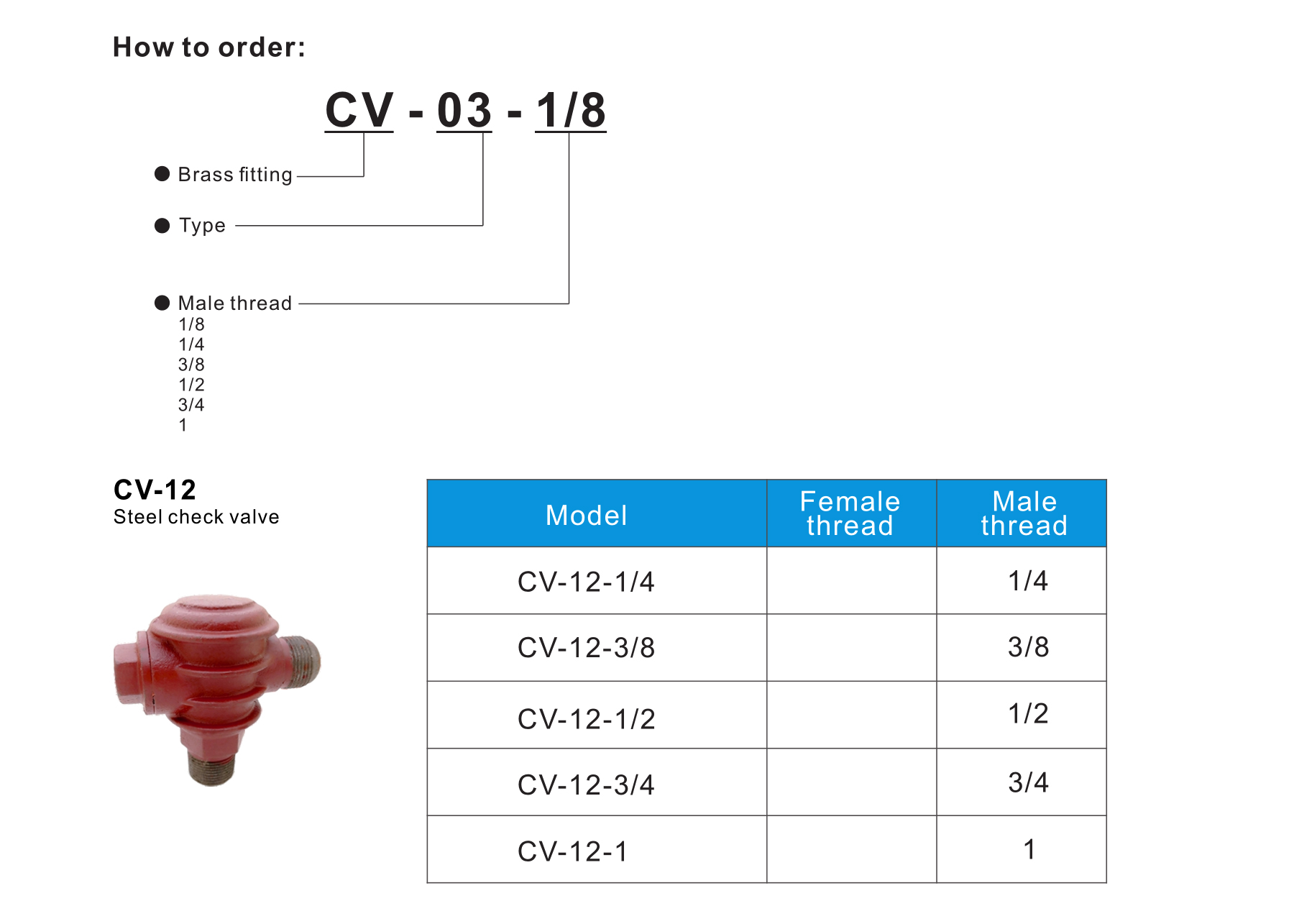CV-12 Steel check valve