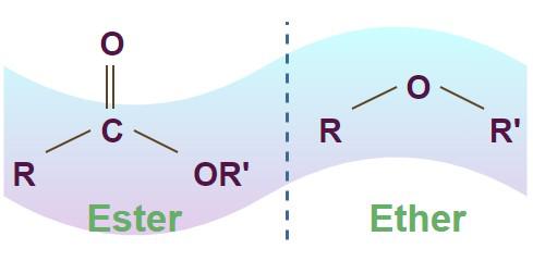 How to remember ester vs ether quickly?cid=861 How to remember ester vs ether quickly?cid=861