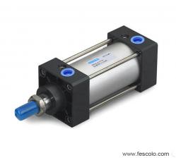 Many types of pneumatic cylinder