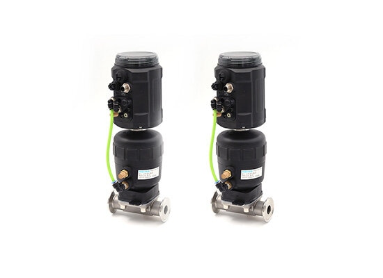 DM Series Pneumatic Diaphragm Valve