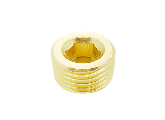 AB-036 Inner Hex. plug
