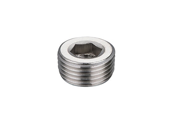 CS-036 Steel Hex.socket plug