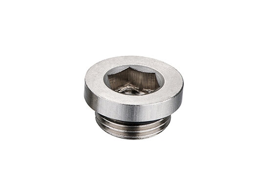 CS-037 Steel Hex.socket plug