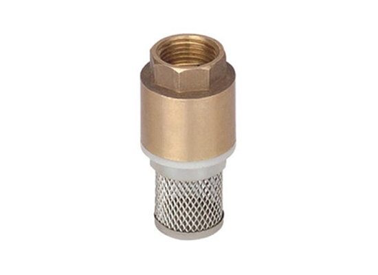 CV-07F Brass foot valve with mesh