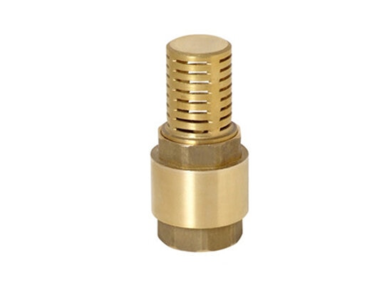 CV-07FB Brass foot valve with mesh