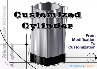 Customized Cylinder: From Modification to Customization